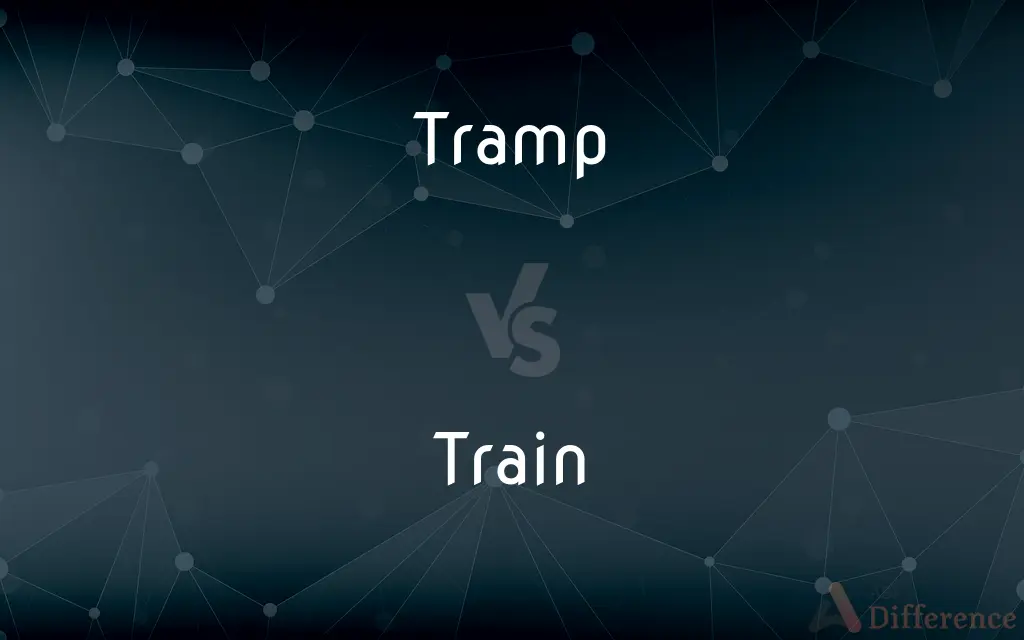 Tramp vs. Train — What's the Difference?