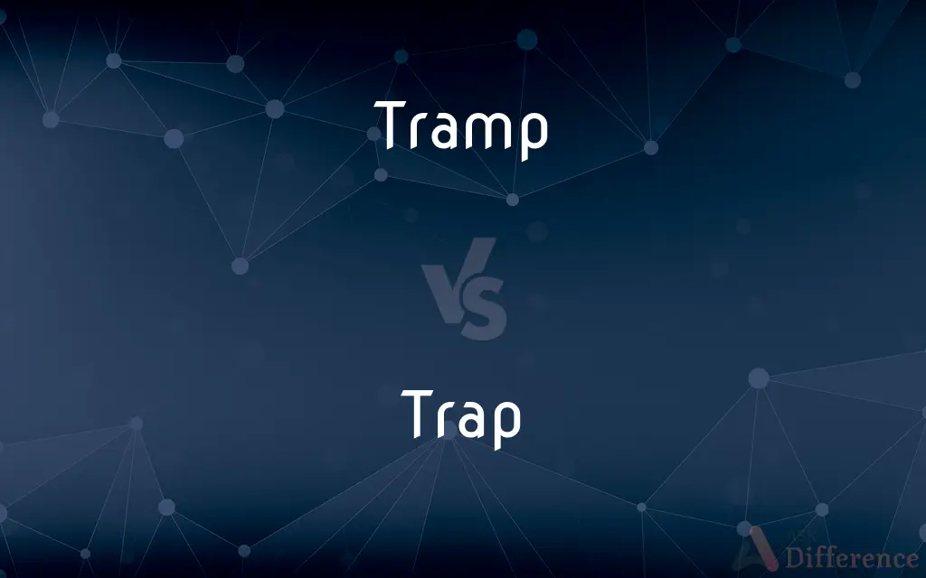Tramp vs. Trap — What's the Difference?