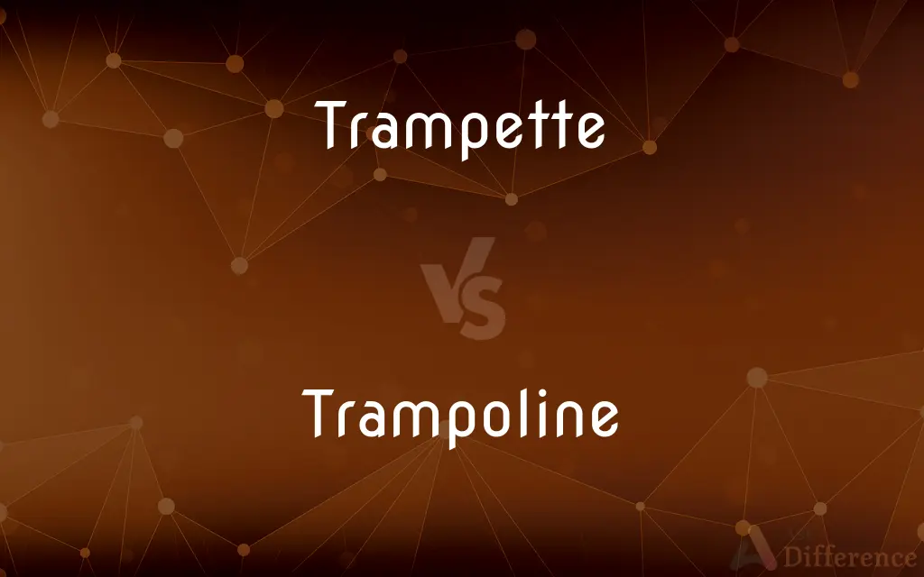 Trampette vs. Trampoline — What's the Difference?