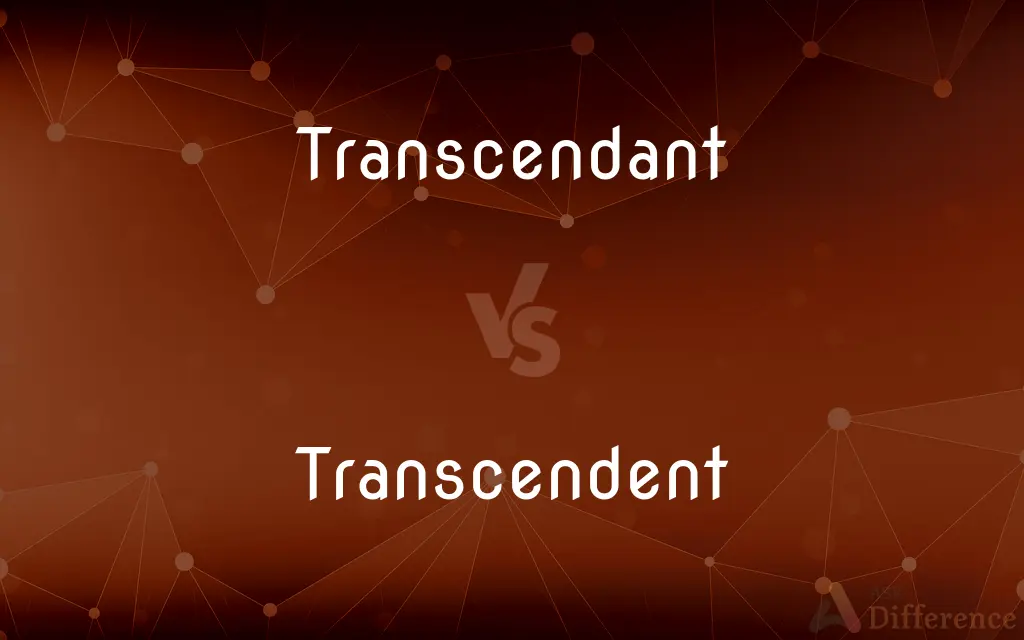 Transcendant vs. Transcendent — Which is Correct Spelling?