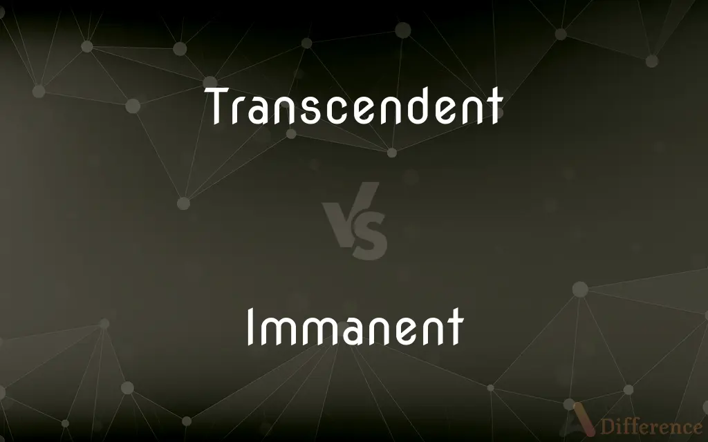Transcendent vs. Immanent