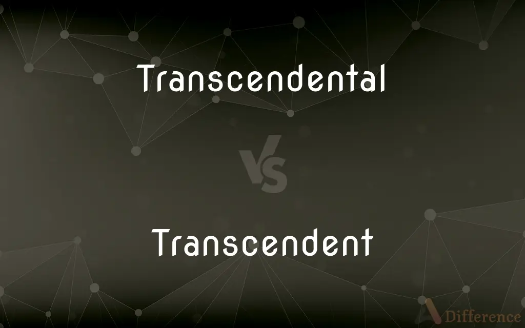 Transcendental vs. Transcendent — What's the Difference?