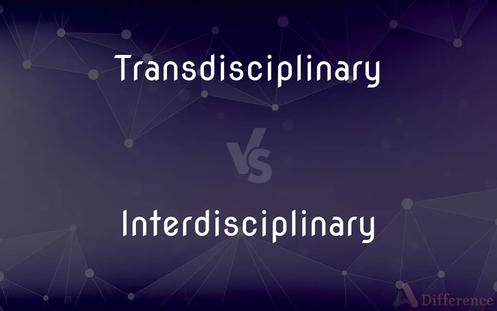 Transdisciplinary vs. Interdisciplinary — What's the Difference?