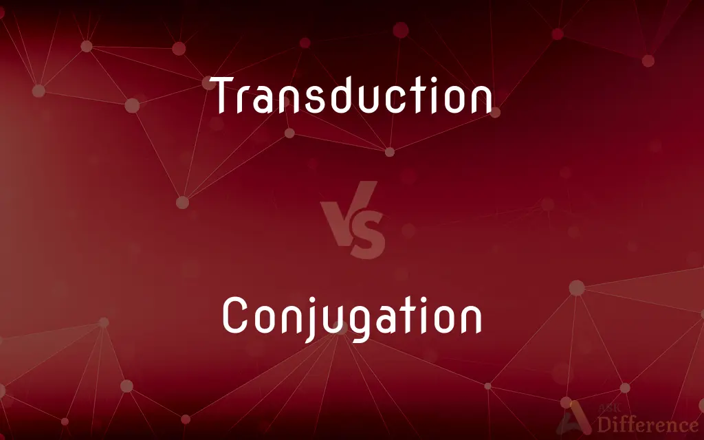 Transduction vs. Conjugation — What's the Difference?
