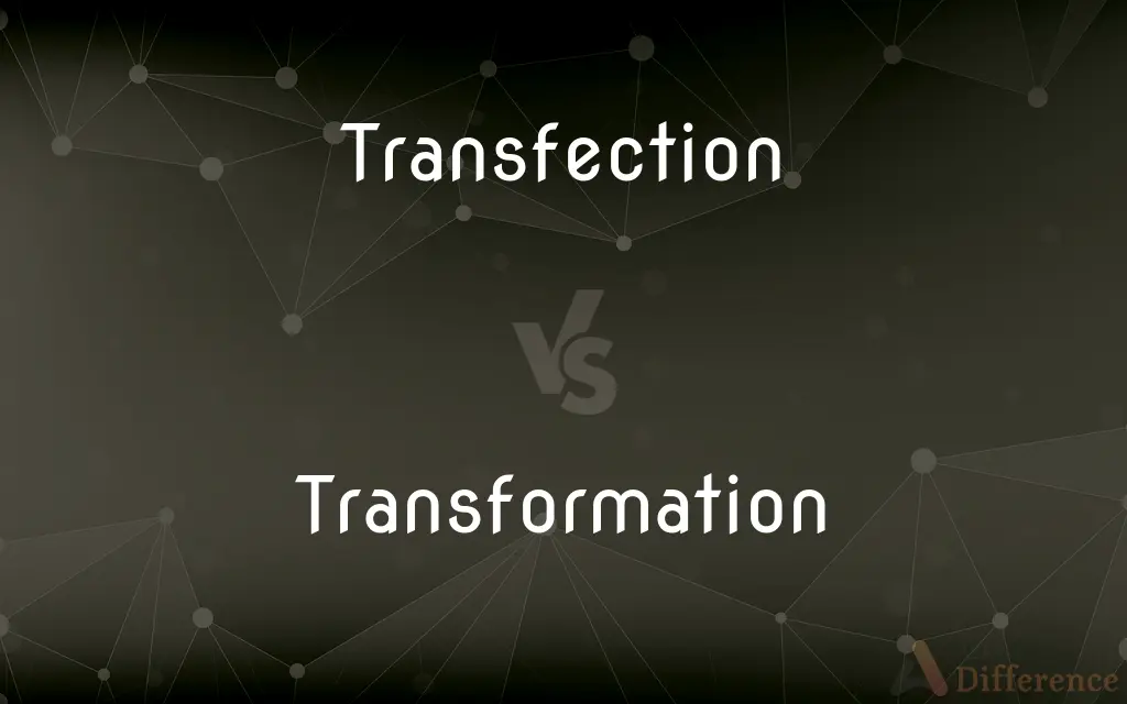 Transfection vs. Transformation — What's the Difference?