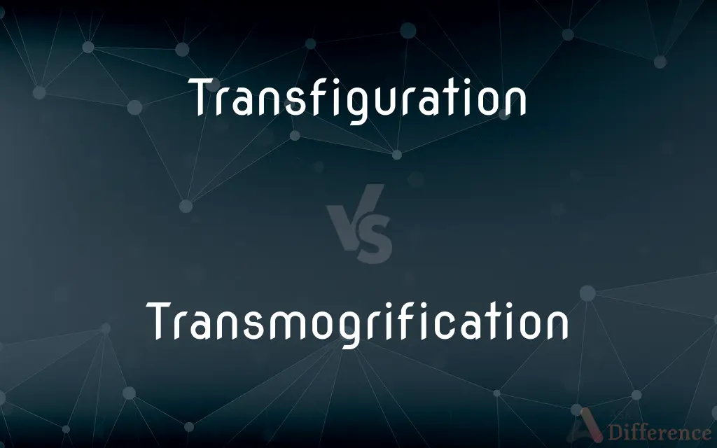 Transfiguration vs. Transmogrification — What's the Difference?