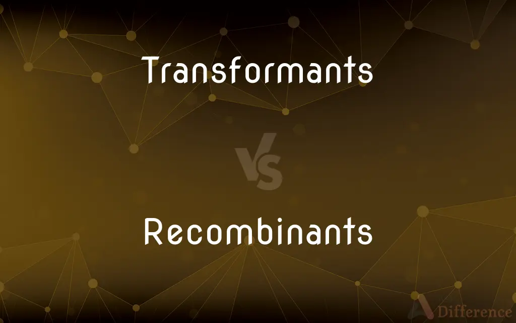 Transformants vs. Recombinants — What's the Difference?