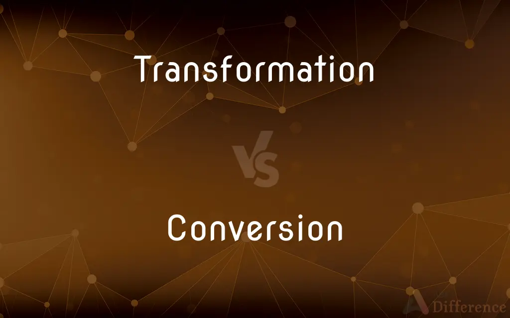Transformation vs. Conversion — What's the Difference?