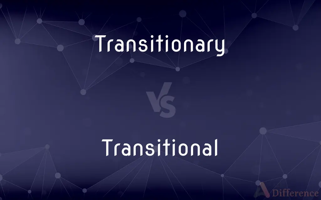 Transitionary vs. Transitional — What's the Difference?