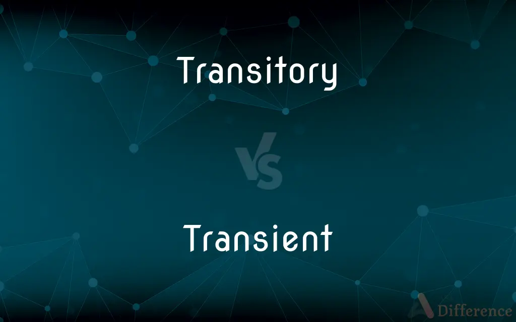 Transitory vs. Transient — What's the Difference?