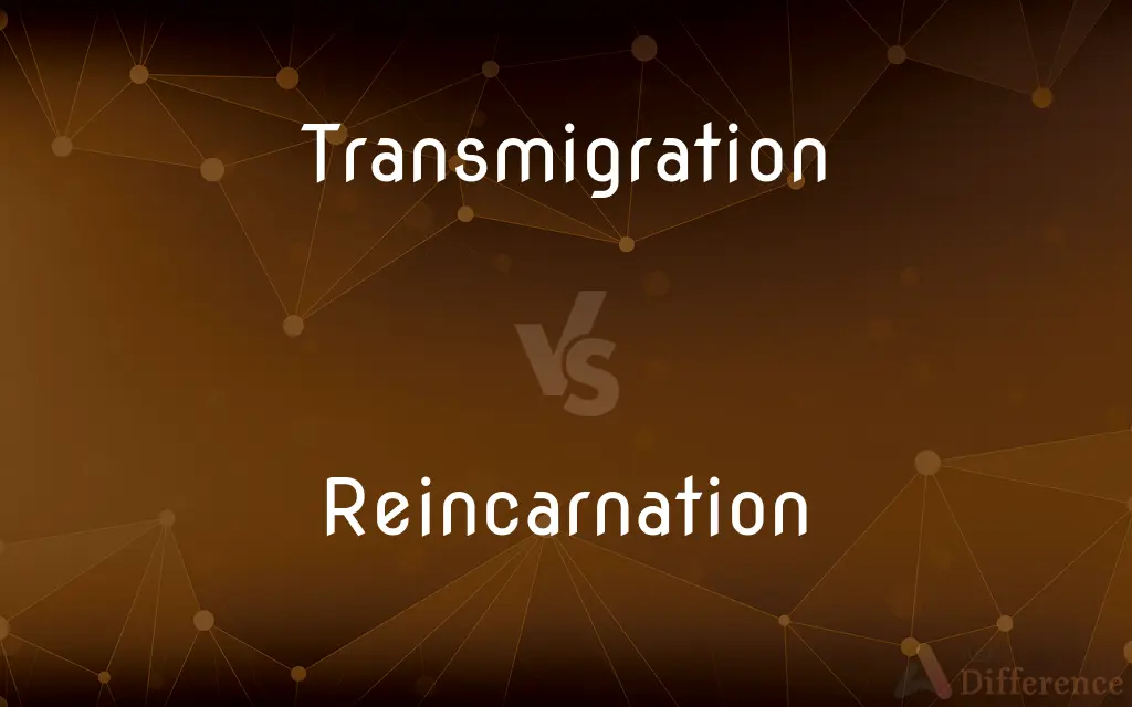 Transmigration vs. Reincarnation — What's the Difference?
