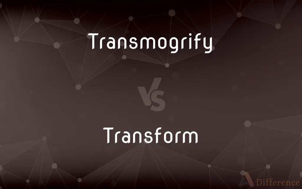 Transmogrify vs. Transform — What's the Difference?