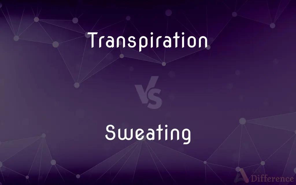 Transpiration vs. Sweating — What's the Difference?