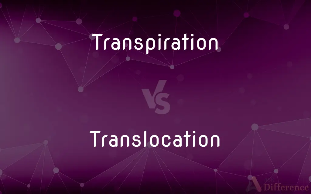 Transpiration vs. Translocation — What's the Difference?
