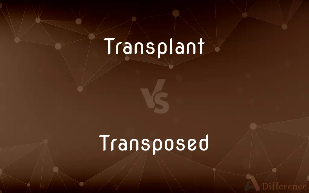 Transplant vs. Transposed — What's the Difference?