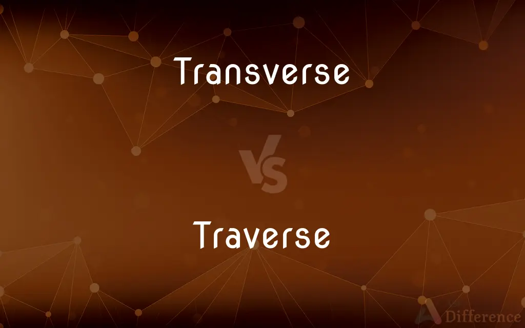 Transverse vs. Traverse — What's the Difference?