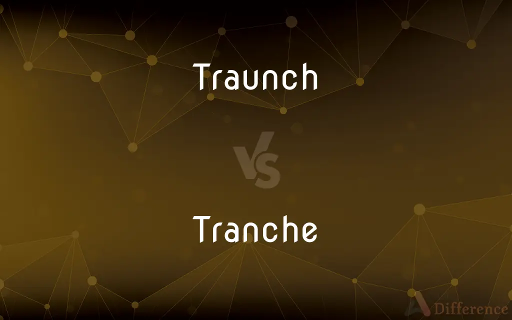 Traunch vs. Tranche — Which is Correct Spelling?