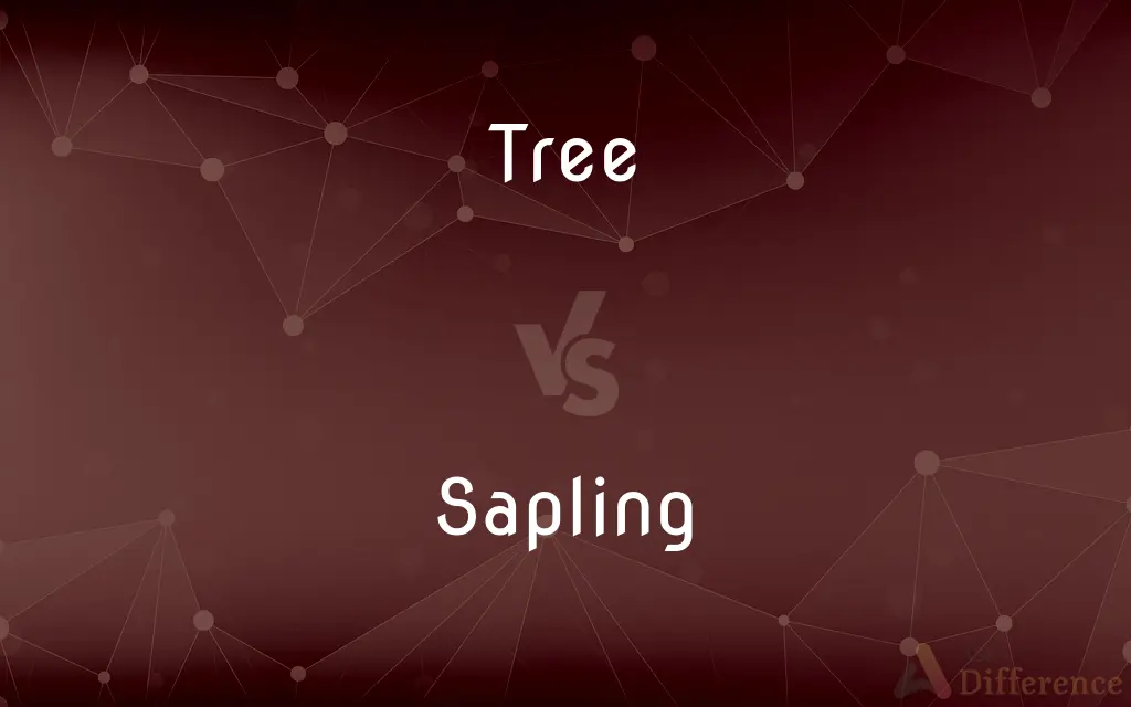 Tree vs. Sapling — What's the Difference?