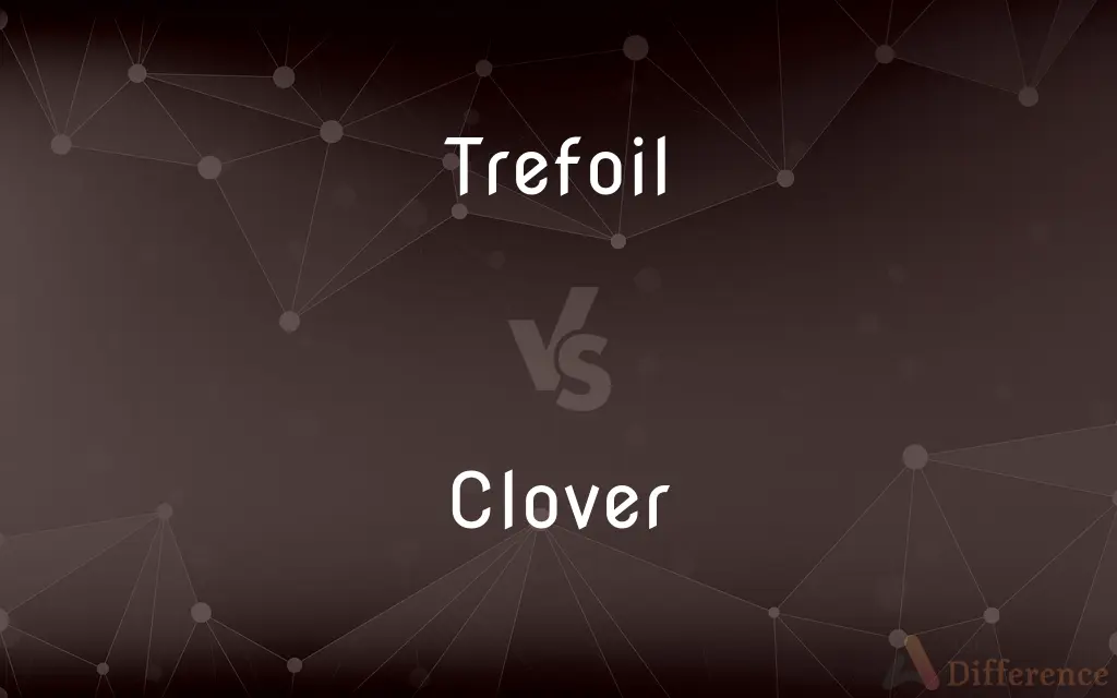 Trefoil vs. Clover — What's the Difference?
