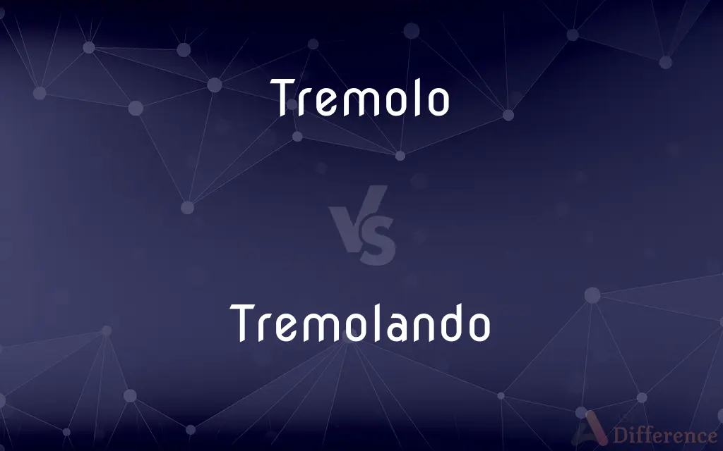 Tremolo vs. Tremolando — What's the Difference?
