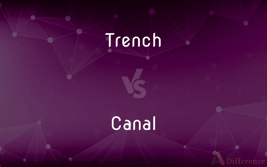 Trench vs. Canal — What's the Difference?