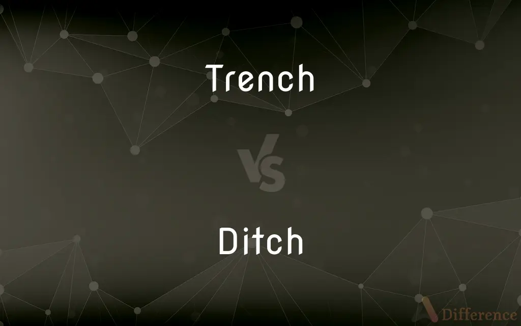Trench vs. Ditch — What's the Difference?