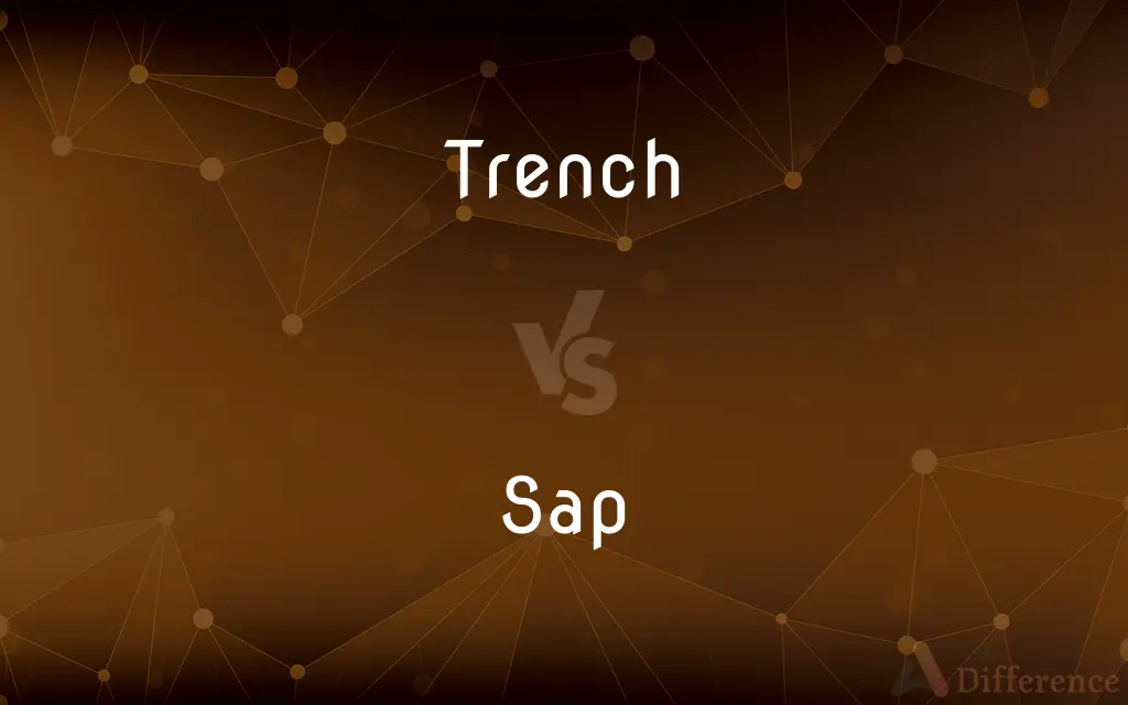 Trench vs. Sap — What's the Difference?