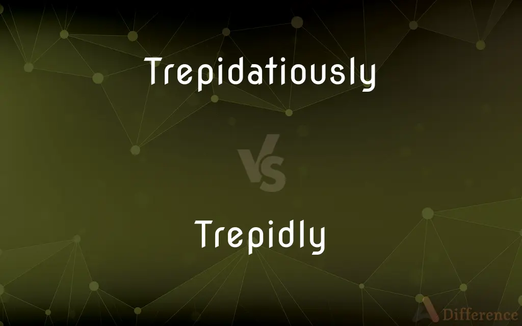 Trepidatiously vs. Trepidly — What's the Difference?