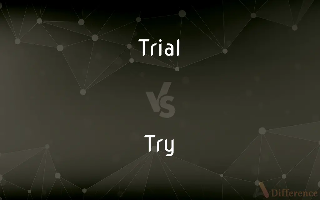 Trial vs. Try — What's the Difference?
