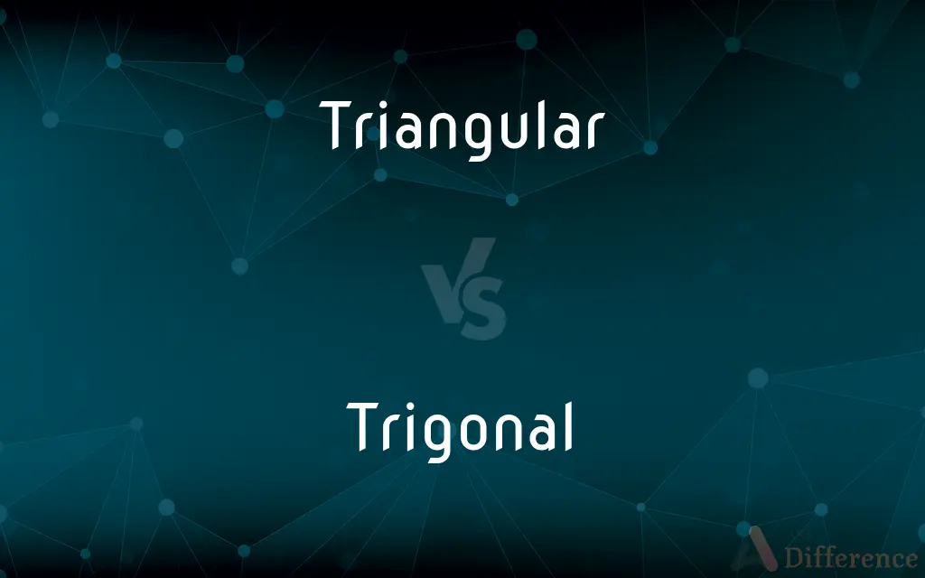 Triangular vs. Trigonal — What's the Difference?