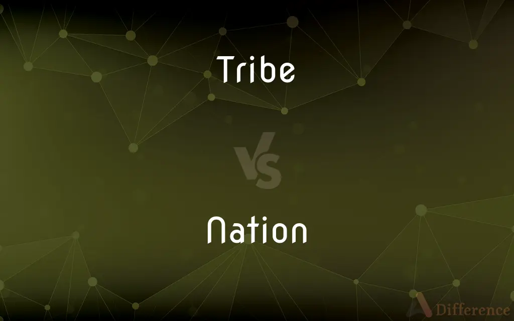 Tribe vs. Nation — What's the Difference?