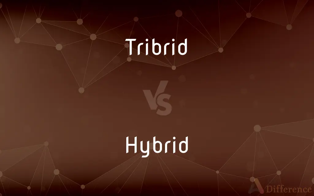 Tribrid vs. Hybrid — What's the Difference?