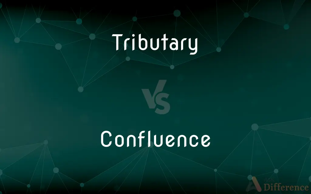 Tributary vs. Confluence — What's the Difference?