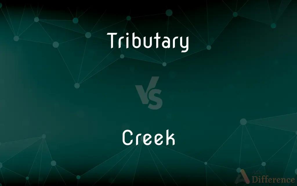 Tributary vs. Creek — What's the Difference?
