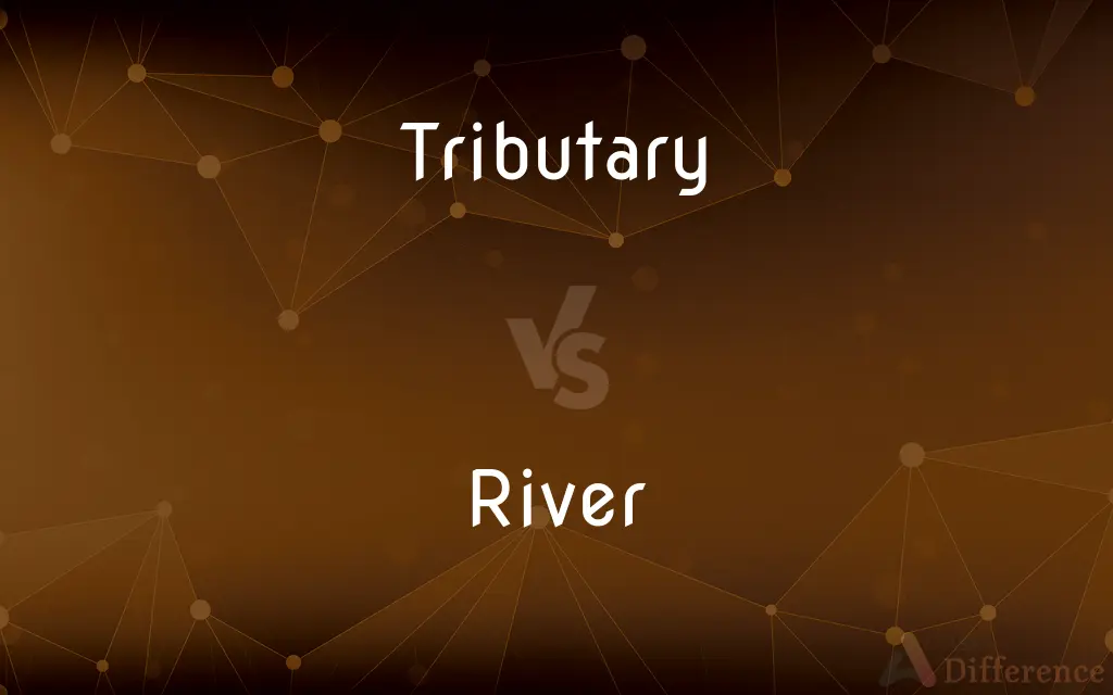 Tributary vs. River — What's the Difference?