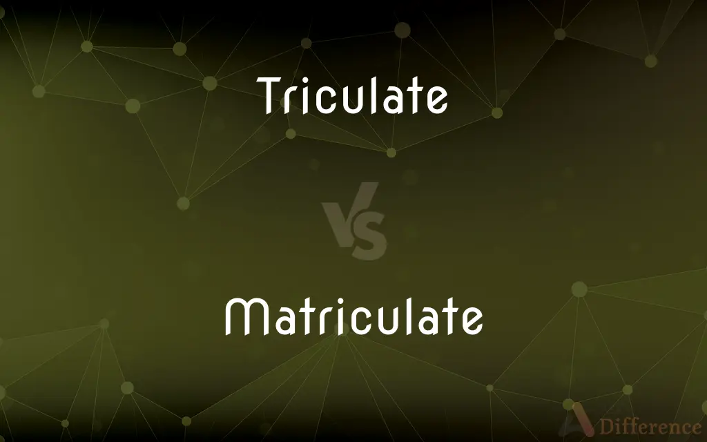 Triculate vs. Matriculate — What's the Difference?