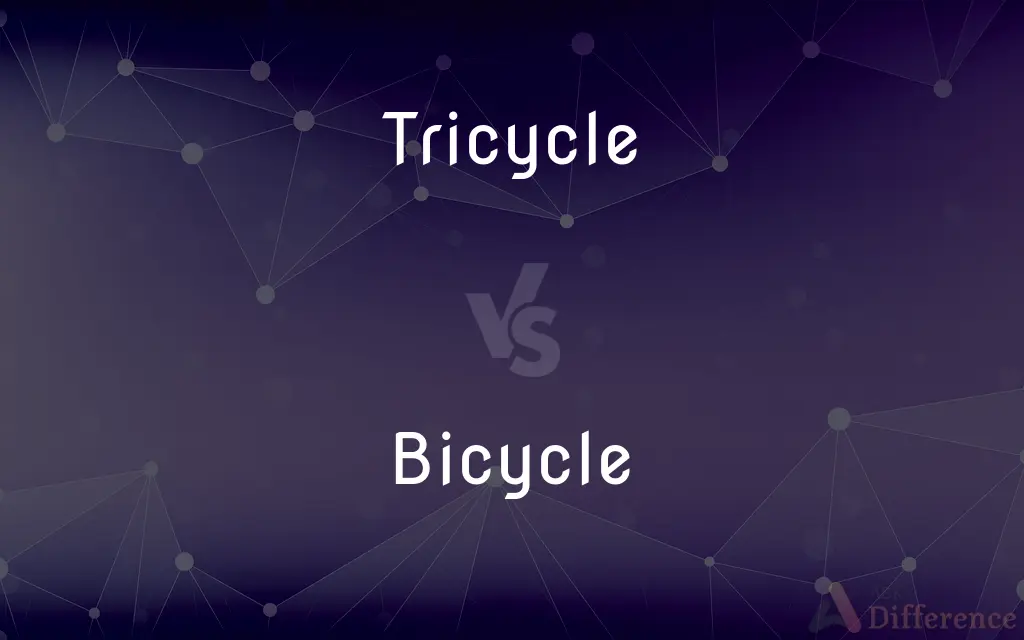 Tricycle vs. Bicycle