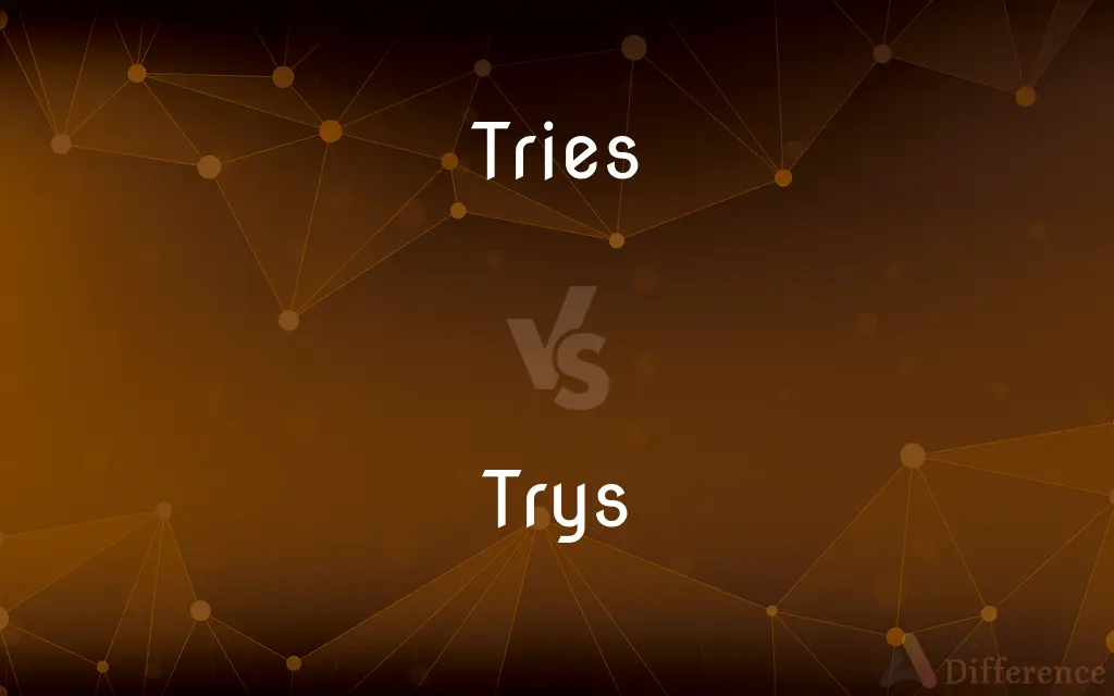 Tries vs. Trys — Which is Correct Spelling?