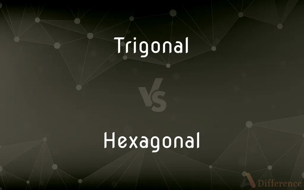 Trigonal vs. Hexagonal — What's the Difference?
