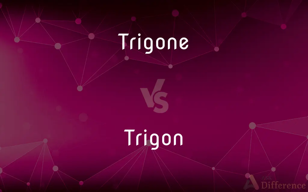 Trigone vs. Trigon — What's the Difference?