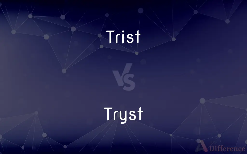 Trist vs. Tryst — What's the Difference?