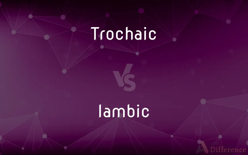 Trochaic vs. Iambic — What's the Difference?