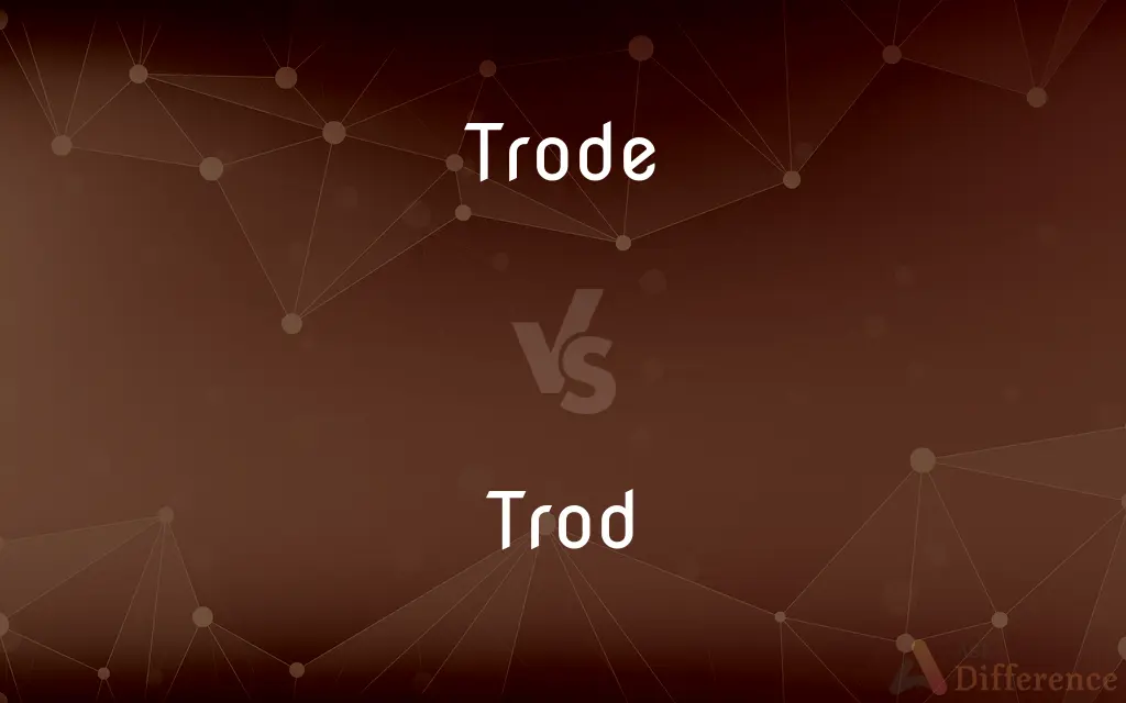 Trode vs. Trod — What's the Difference?