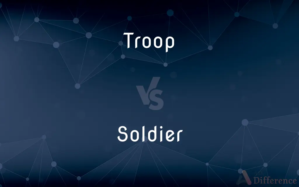 Troop vs. Soldier — What's the Difference?