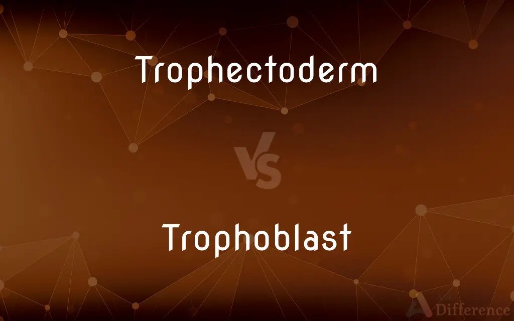 Trophectoderm vs. Trophoblast — What's the Difference?