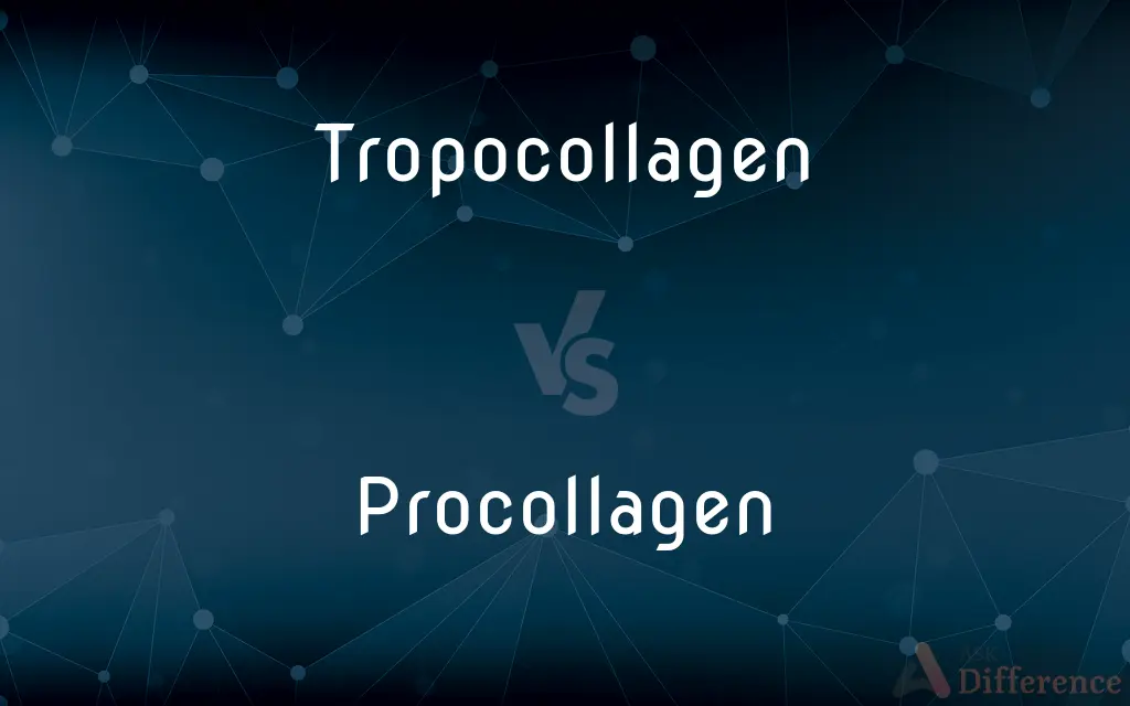 Tropocollagen vs. Procollagen — What's the Difference?