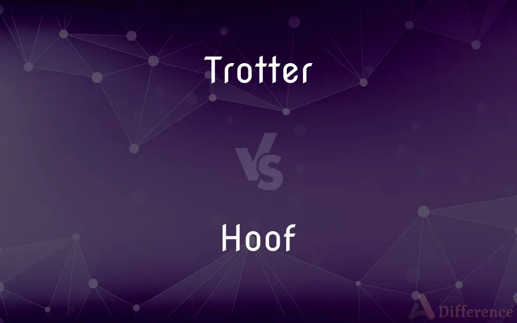 Trotter vs. Hoof — What's the Difference?