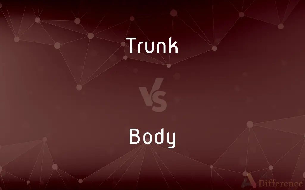 Trunk vs. Body — What's the Difference?