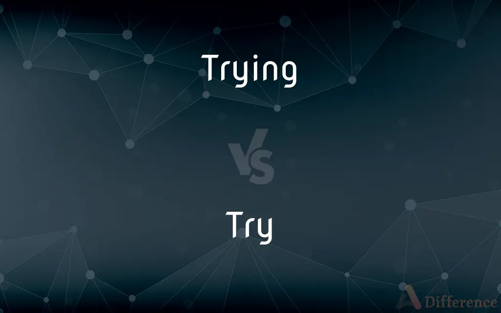 Trying vs. Try — What's the Difference?
