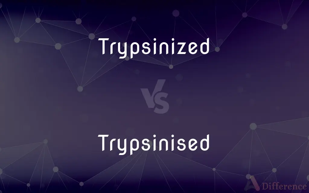 Trypsinized vs. Trypsinised — What's the Difference?